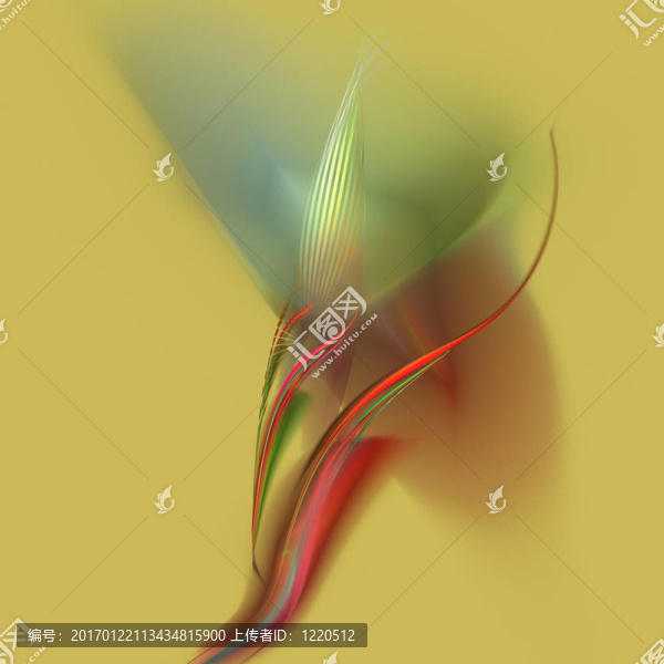 夏威夷蘭花