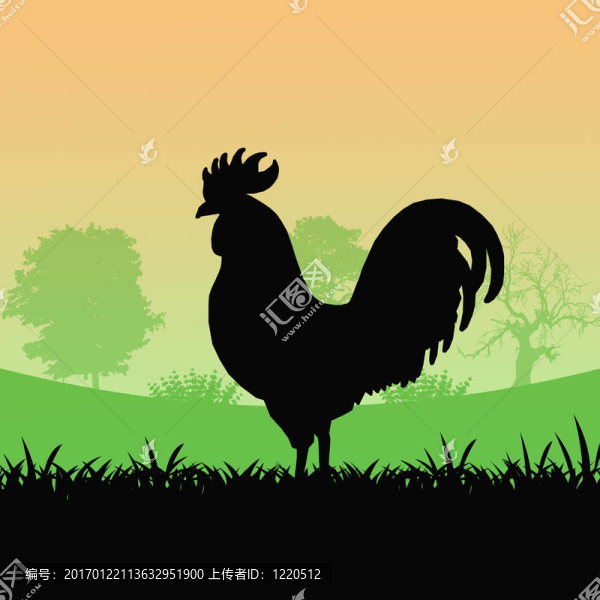 雞的剪影