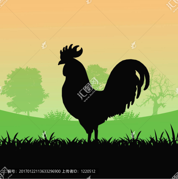 雞的剪影