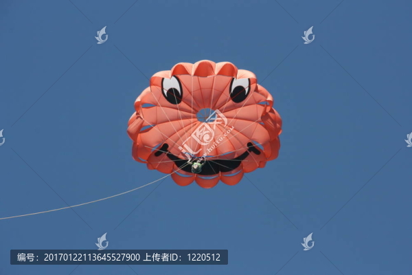 滑翔傘