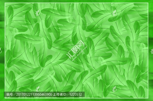 抽象的綠色羽毛背景