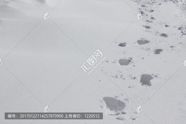 在雪的痕跡