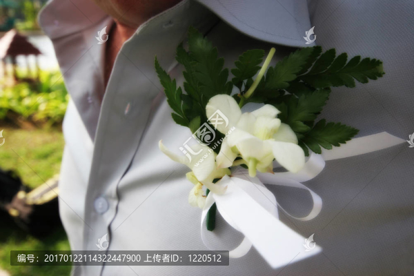 新郎