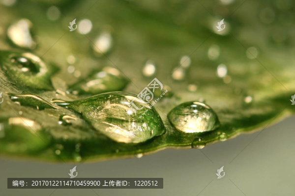 雨后