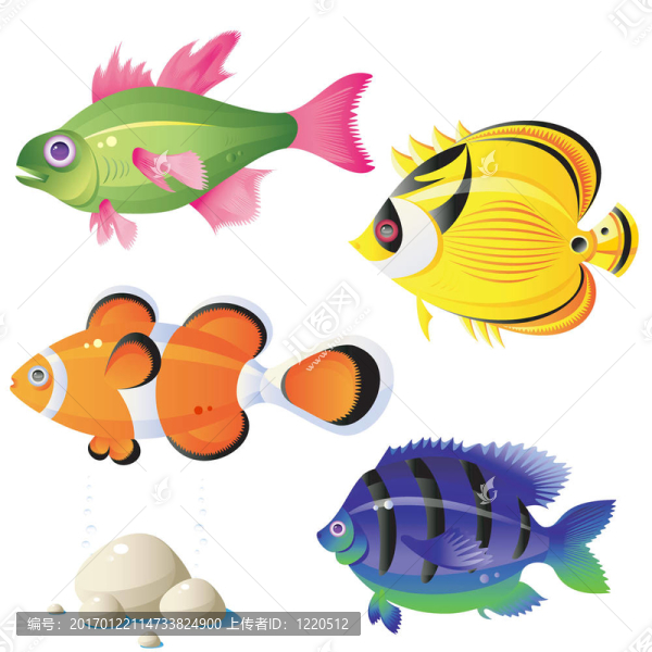 熱帶魚