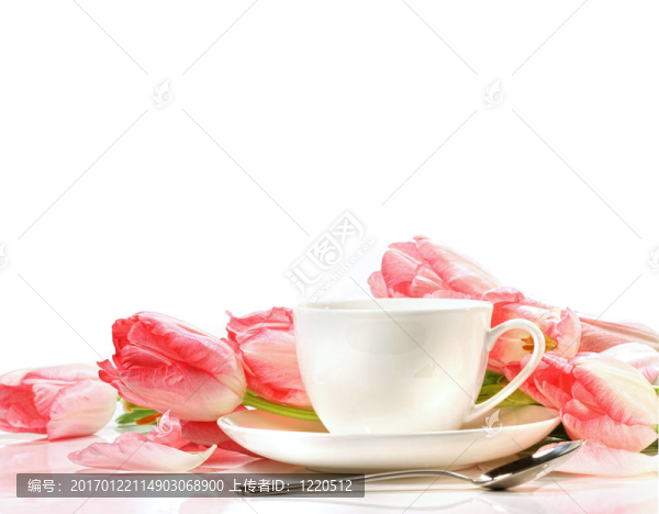 白色的粉紅郁金香杯
