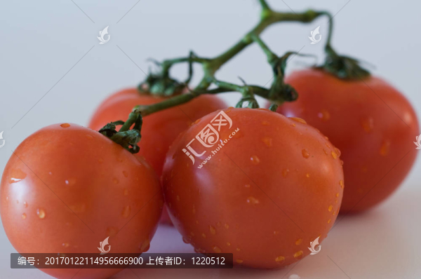 西紅柿