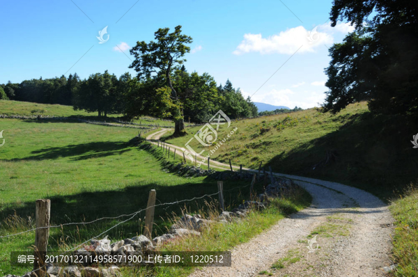 鄉(xiāng)村路