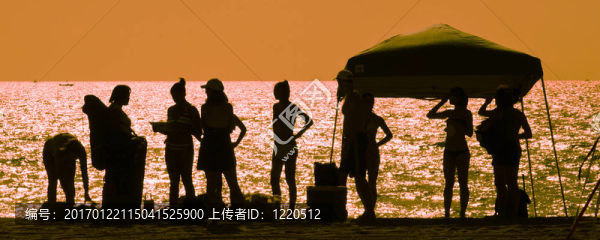 海灘上的朋友