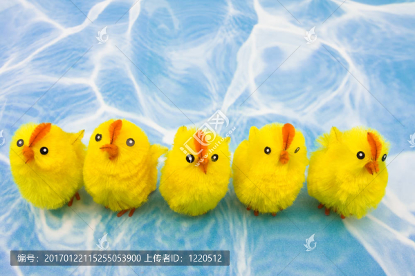春雞