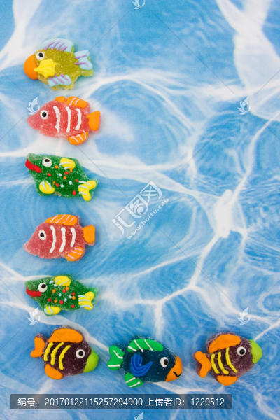 多彩的魚的邊界