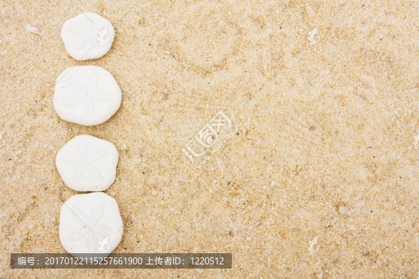 沙錢(qián)的邊界
