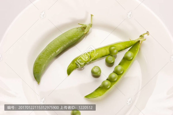 豌豆莢