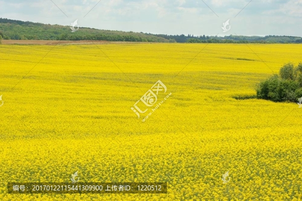 場