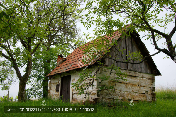 小屋