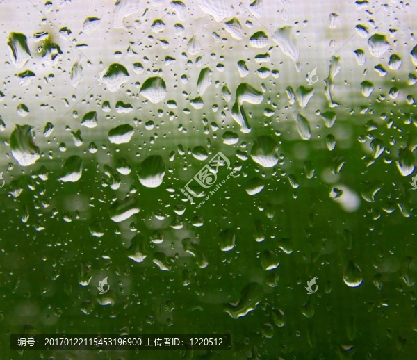 雨