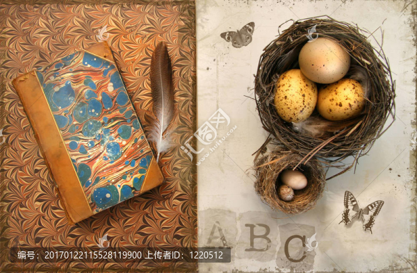 與鳥巢對垃圾的舊書