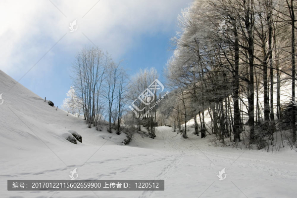高山的場(chǎng)景