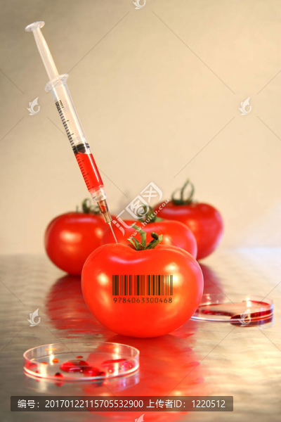 番茄中注射器的封閉性