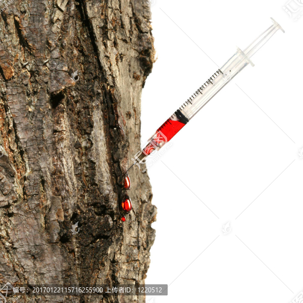 白色樹干插入注射器