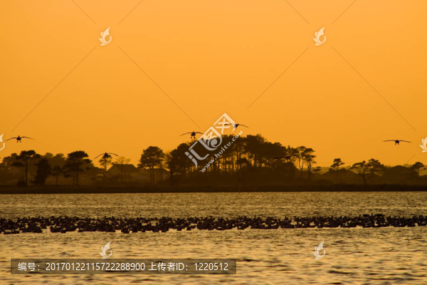 著陸跑道