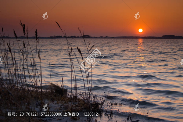 夕陽無限好