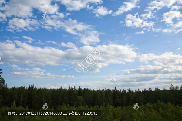 夏天