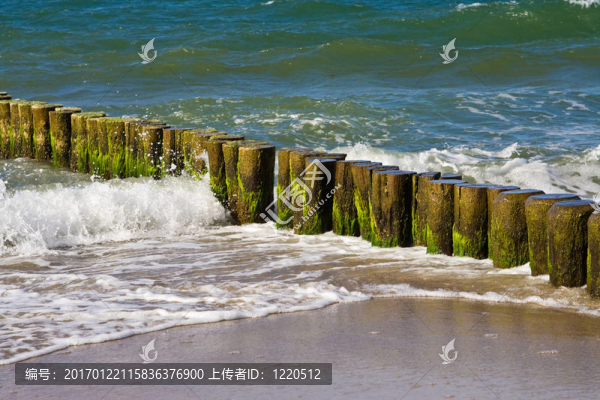 大海和波浪