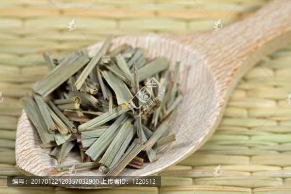 檸檬草