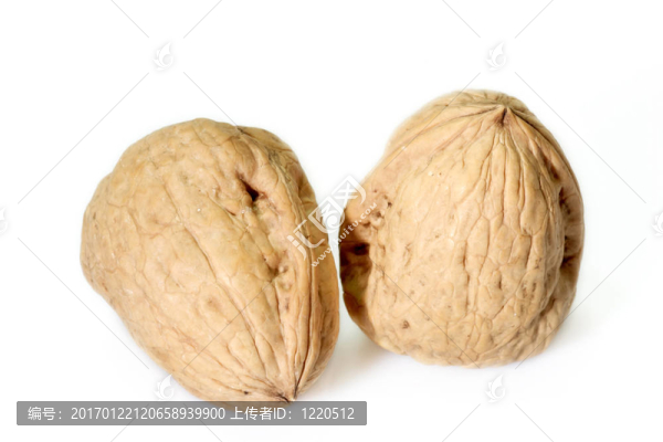 核桃