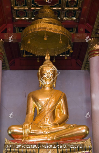 坐在Budda