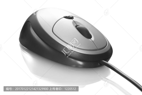 小鼠離體