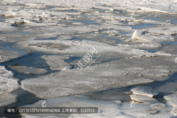 早春覆冰海