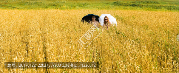 炎熱的夏天。
