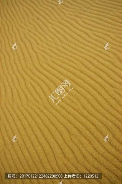 巴塔哥尼亞沙丘。