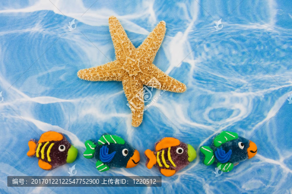 多彩的魚(yú)的邊界