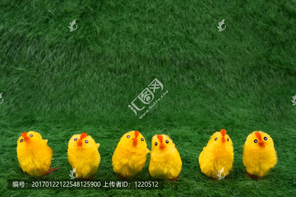 春雞-匯圖網(wǎng) www.fosd68.com 春雞