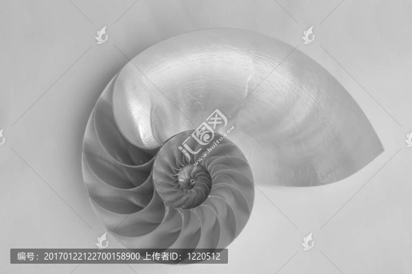 貝殼狀