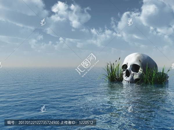 顱骨