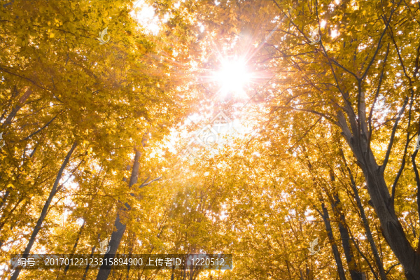 秋天的本質(zhì)