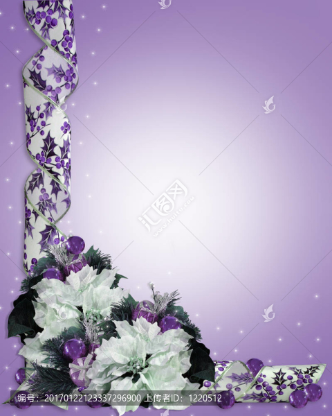 圣誕花緣紫色