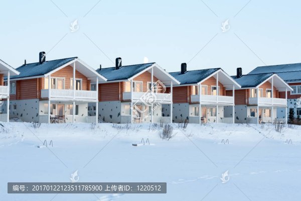 寄居在雪