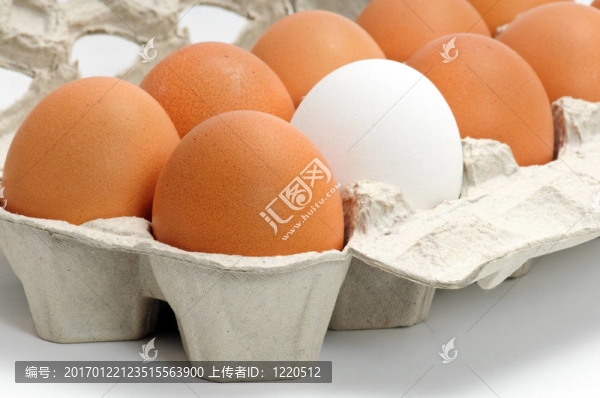 雞蛋盒
