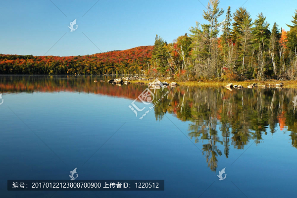 湖倒影在秋天的場景
