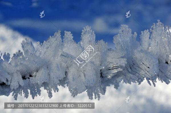 細(xì)冰晶在一個(gè)小樹(shù)枝上