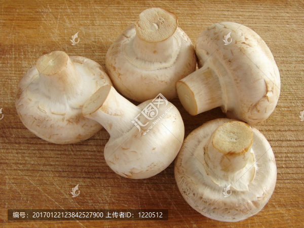 蘑菇