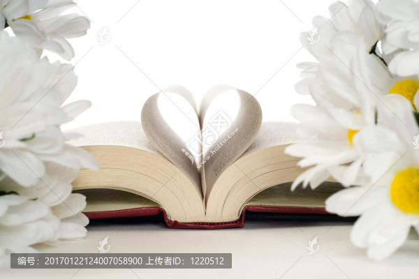 浪漫的書