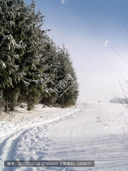 越野滑雪道