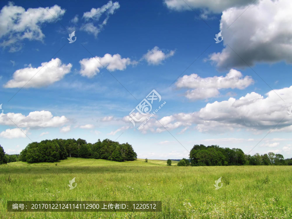 夏天的風(fēng)景
