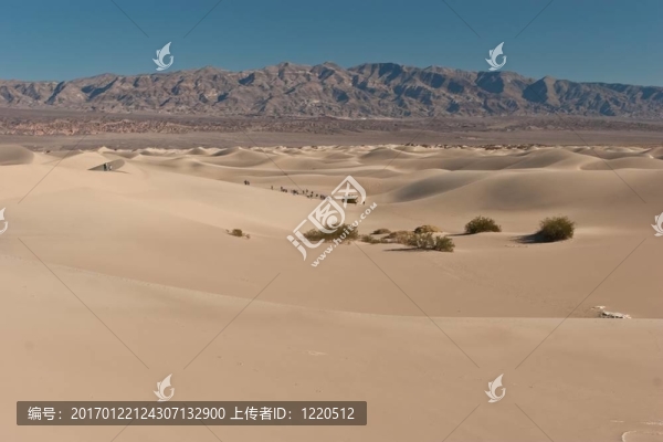 瘦腿威爾斯沙丘